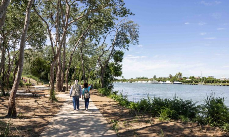Il 17 maggio abbiamo inaugurato il Parco Fluviale d’Affaccio di Ostia Antica, un passo importante che racconta la Roma che cambia, con visione, coraggio e amore per il territorio. Questo [&hellip;]